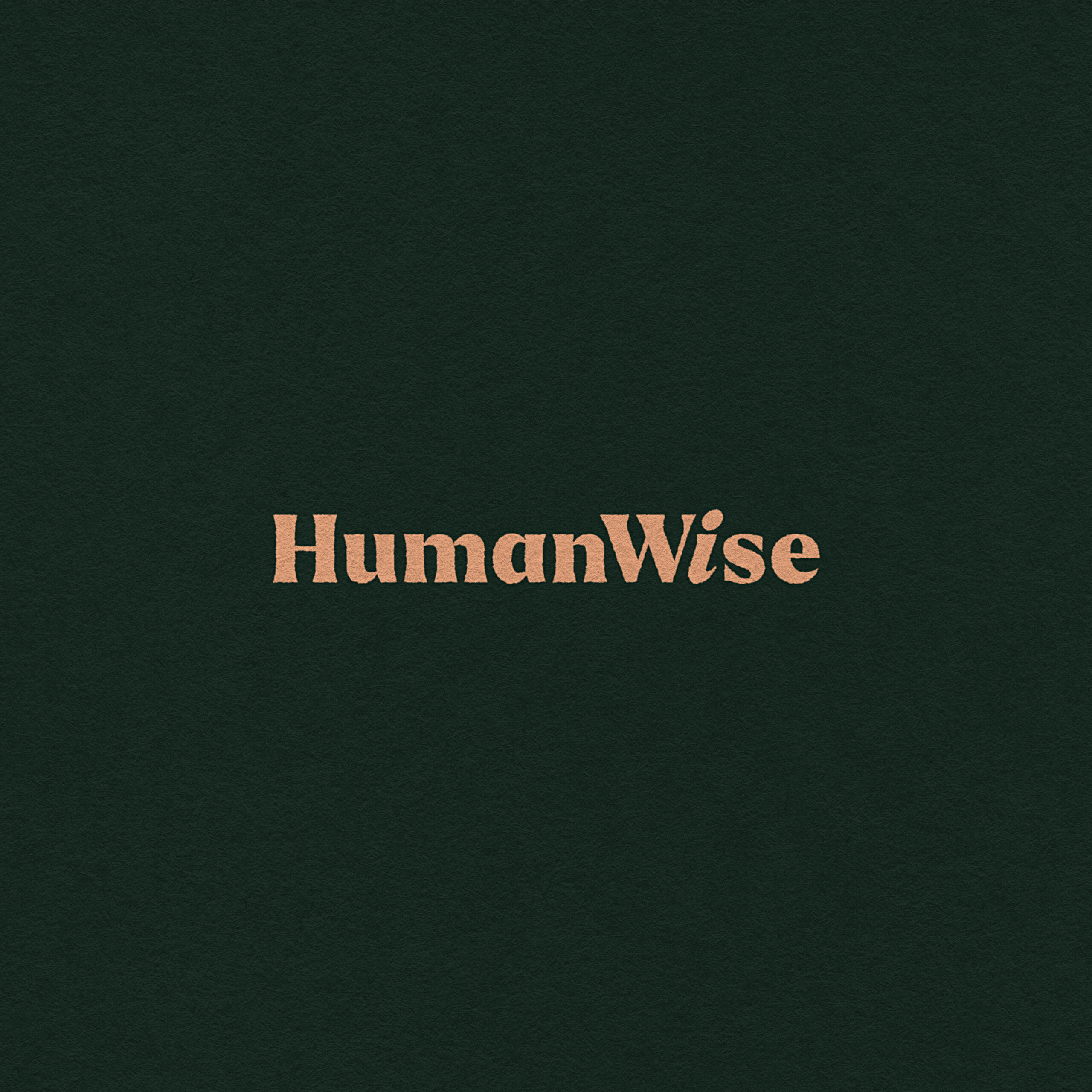 HumanWise-c2